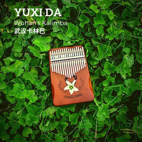 Wuhan's Kalimba