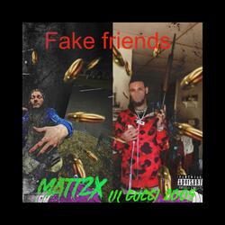 Fake friends