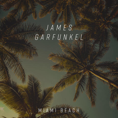 Miami Beach