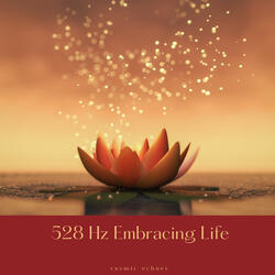 528 Hz Believe In Yourself