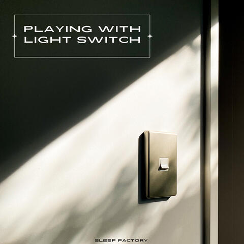 Playing With Light Switch