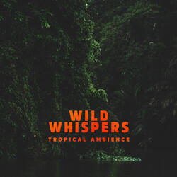 Light Rain in a Tropical Forest