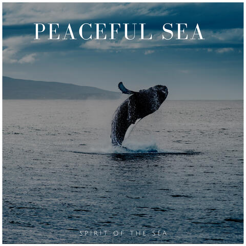 Peaceful Sea