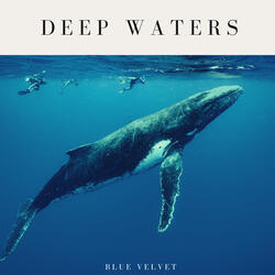 Deep Ocean Sleep