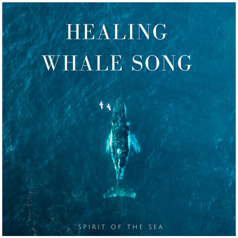 Healing Whale Song