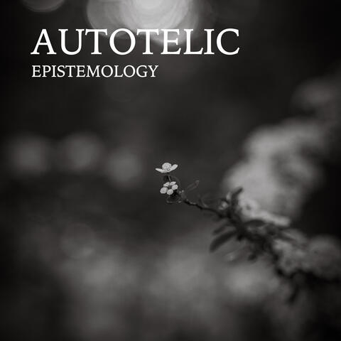 Epistemology