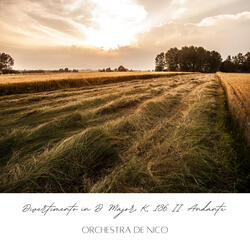 Divertimento in D Major, K. 136: II. Andante