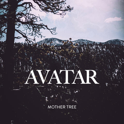 Mother Tree
