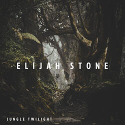 Jungle Twilight