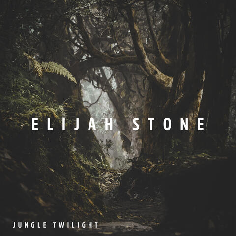 Jungle Twilight