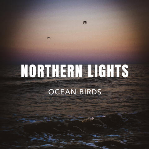 Ocean Birds