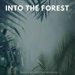Into The Forest