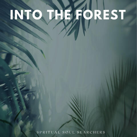 Into The Forest