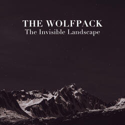 The invisible landscape