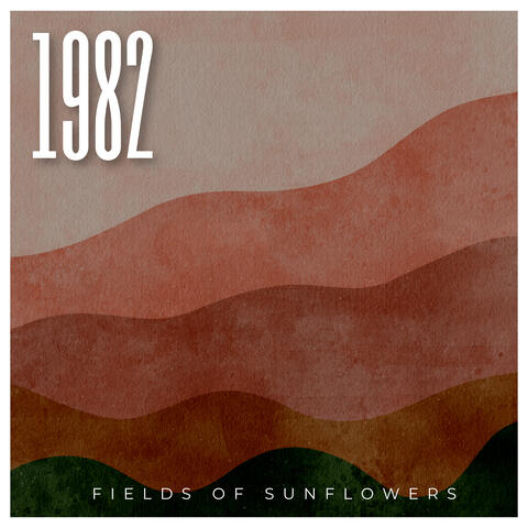 Fields of Sunflowers