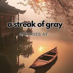 a streak of gray