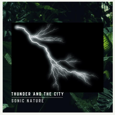 Thunder and the City