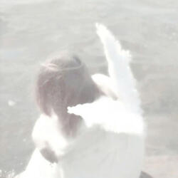In another life, maybe it was you and me, where we loved each other