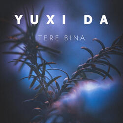 Tere Bina