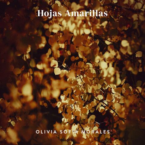 Hojas Amarillas