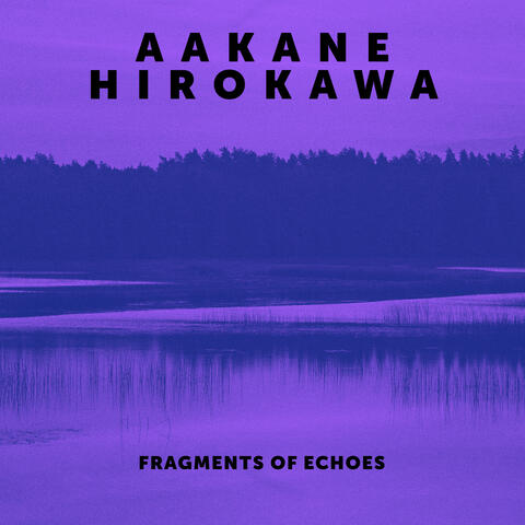 Fragments of Echoes