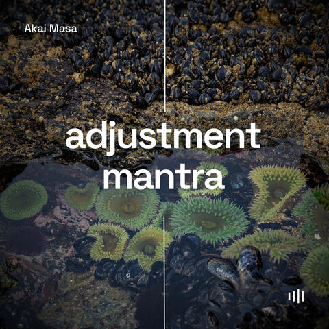 Adjustment Mantra