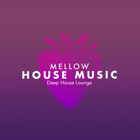 Mellow House Music