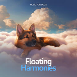 Sample Clouds