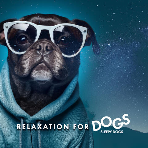 Relaxation for Dogs