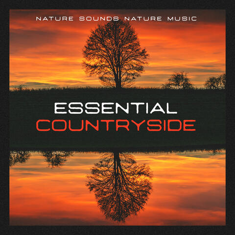 Essential Countryside