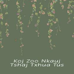 Koj zoo nkauj tshaj txhua tus