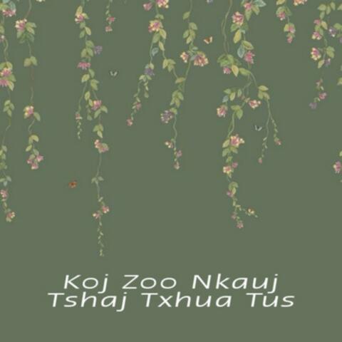 Koj zoo nkauj tshaj txhua tus