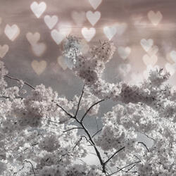 The First Time I Saw You