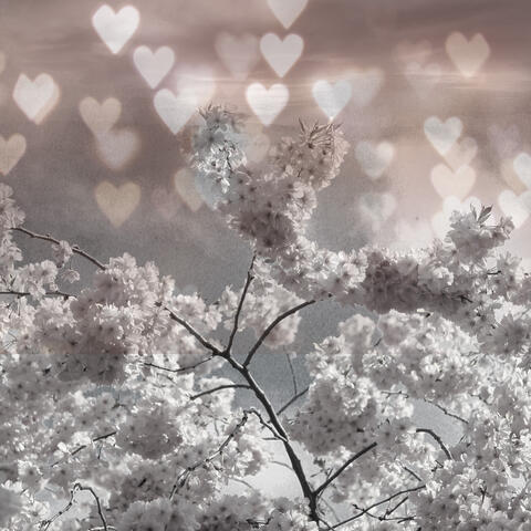 Suggestions for Love