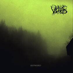 Of Rain And Moss