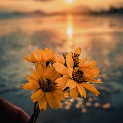 Tus Kuv Hlub Dua Twg Lawm