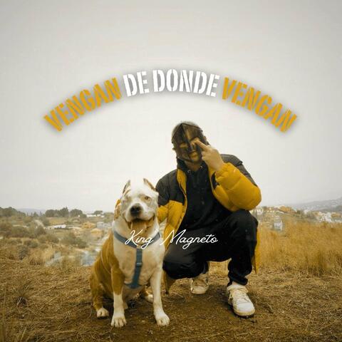 Venga De Donde Vengan
