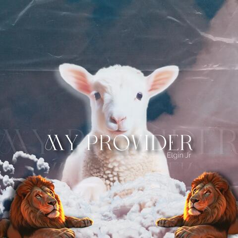My Provider