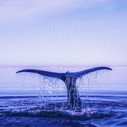 Synchronization
