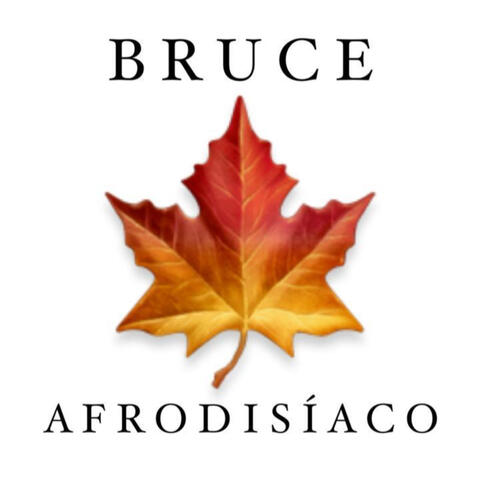 A F R O D I S Í A C O