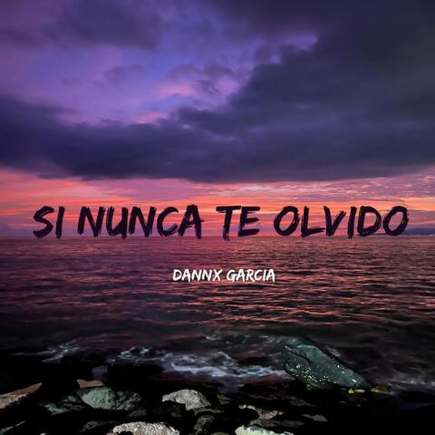 Si nunca te olvido