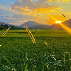 Khwv Hnub No Npaj Rau Tag Kis