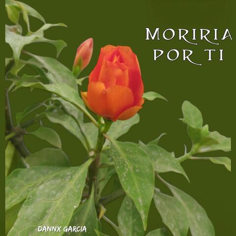 Moriría por ti