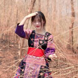 Vim Tshuav Teev Ntshav