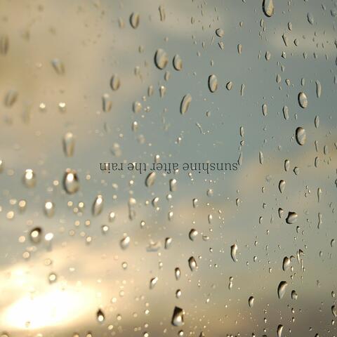 sunshine after the rain