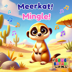 Meerkat Mingle