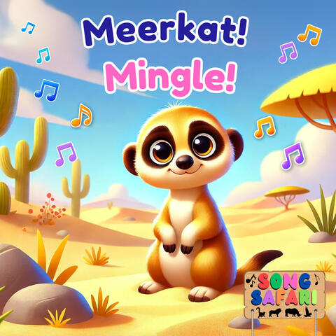 Meerkat Mingle