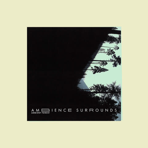Ambience Surrounds