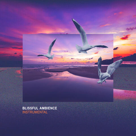 Blissful Ambience