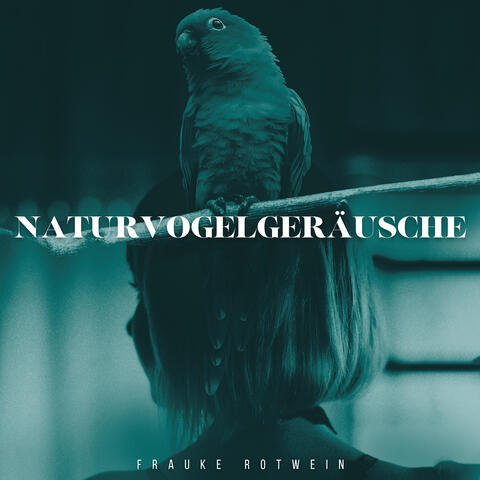 Naturvogelgeräusche